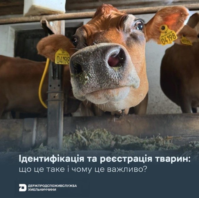 6657