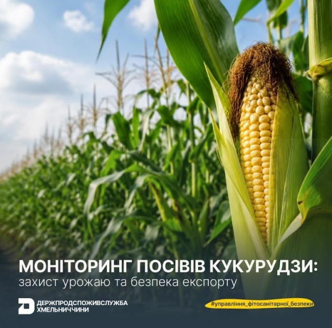 7086