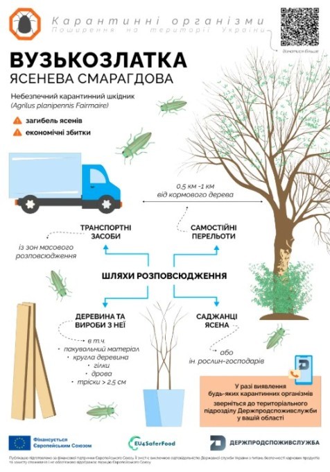 7065