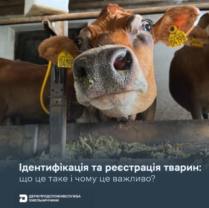 6665